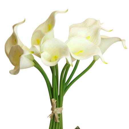 Calla Bund mit 9 Blüten creme|Real-touch soft|30cm