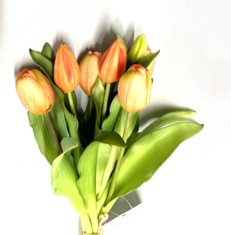 Tulpen Bund 7 Blüten Apricot|Real-touch|30cm