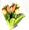 Tulpen Bund 7 Blüten Apricot|Real-touch|30cm
