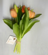 Tulpen Bund 7 Blüten Apricot|Real-touch|30cm