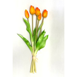 Tulpen Bund 5 Blüten...