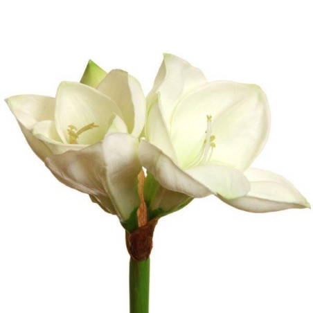 Amaryllis weiß Super-touch| 58 cm