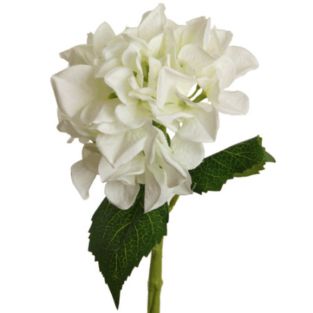 Hortensie klein weiß | 33 cm
