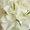 Hortensie klein weiß | 33 cm