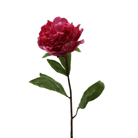Pfingstrose Päonie Beauty Purple | 70 cm |realtouch