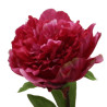 Pfingstrose Päonie Beauty Purple | 70 cm |realtouch