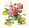 Kissen citrons de menton romance |Garnier Thiebaut
