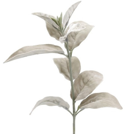 Zweig Lammohrblatt Velvet silber